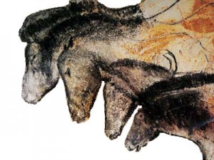 chevaux grotte Chauvet 